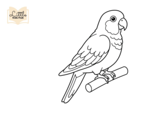 Birds & Bird Houses