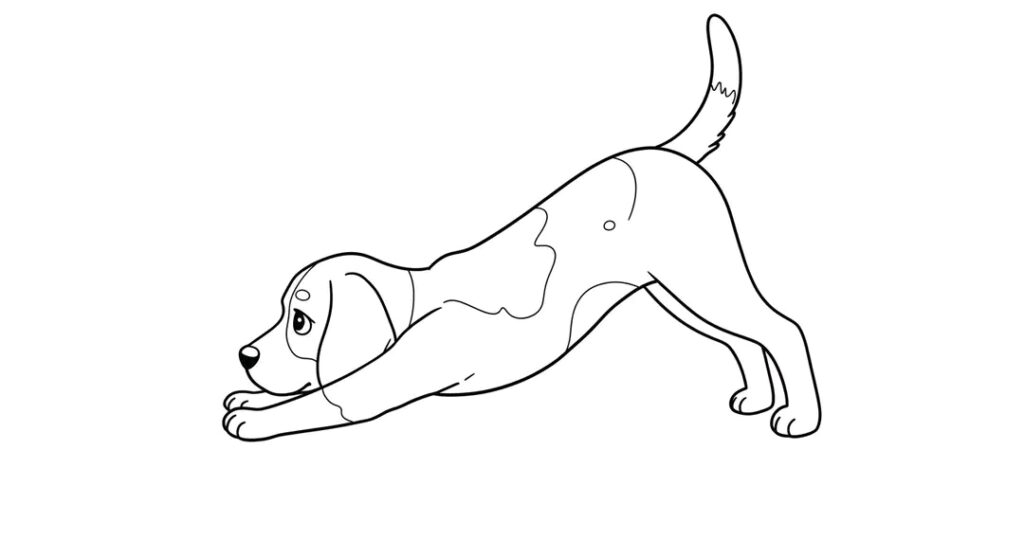 Dog coloring pages