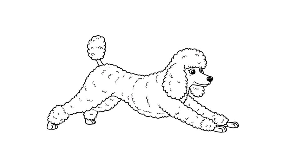 Dog coloring pages