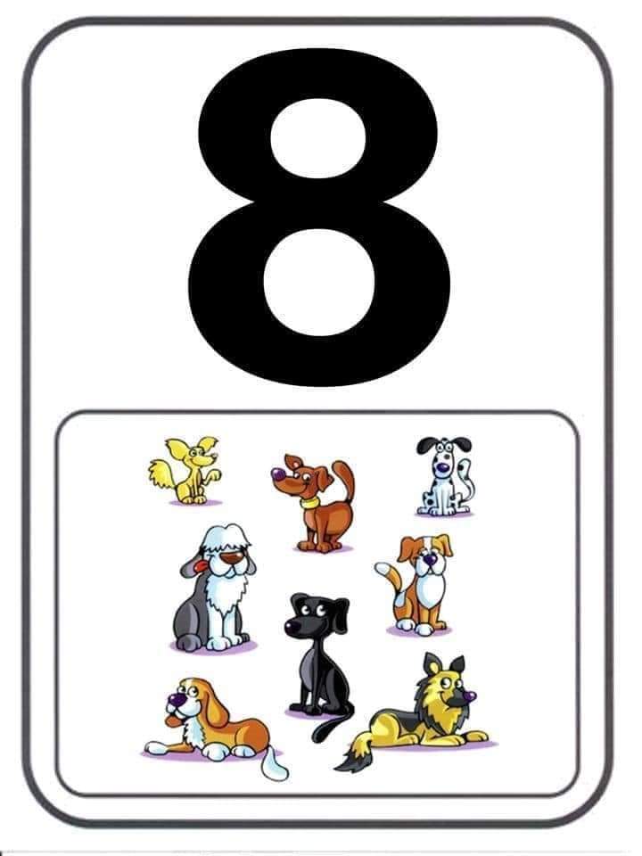 Numbers 1 to 10 flashcards