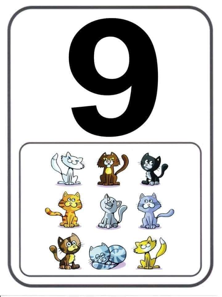Numbers 1 to 10 flashcards