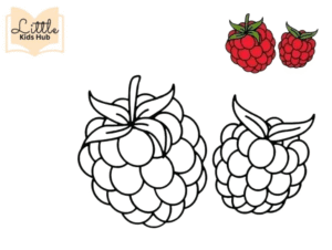 Fruit Coloring Pages