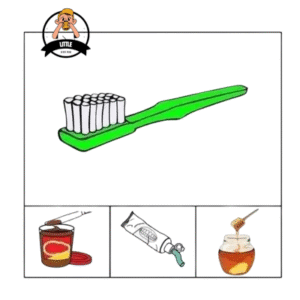 Object Use In Daily Life
